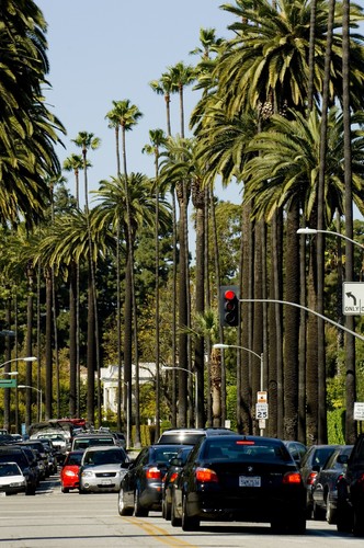 Los Angeles California breaks with Platinum Travel